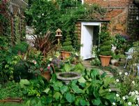 Small informal garden with containers,bird bath and climbers