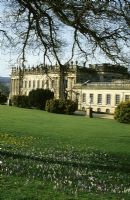 Chatsworth House in Derbyshire. View of house across lawns in Spring with Crocuses