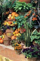 Terracotta flower pots and gourds in display from Whichford Pottery at Chelsea FS 1998