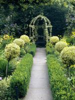 Path lined with Rows of spherical standards of Euonymus 'Emerald and gold' with Hedera - Ivy Bower focal point