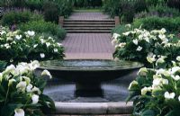 Comtemporary water feature fountain as focal point with Zantedeschia aethiopica 'Crowborough'- Arum lilies at RHS Wisley in Surrey