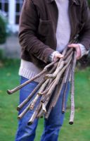Person carrying bundle of hazel rods