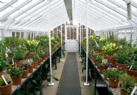 Display of herbs, vegetables, bulbs and perennials in traditional victorian glasshouse. Controlled artificial light used to promote early growth  
