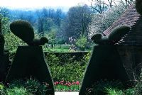 Yew topiary shaped as squirrels. Tulipa Mariette in background. Great Dixter