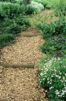 Wood chip path in woodland planted garden. , The Wave Garden, Pensthorpe, Norfolk