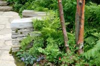 A path leading to a curved stone seat surrounded by shady woodland planting including Betula papyrifera, Phlox divaricata, Aquilegia canadensis and ferns 