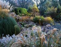 Winter borders with ornamental grasses at Knoll Gardens, Dorset