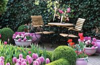 Furniture on pink theme patio with Hyacinthus 'Splendid Cornelia'