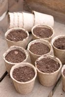 Biodegradable pots with compost