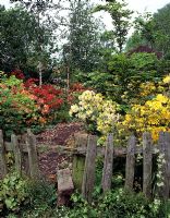 Woodland garden with rhododendrons and rustic fence stile. 
