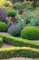 Buxus - Box hedging and topiary in formal summer garden at Kettle Hill