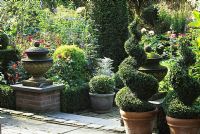 Spiral topiary by steps