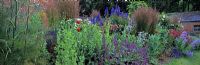 Salvias, poppies and fennel in perennial borders in courtyard garden - Blackpitts Farm, Northamptonshire
