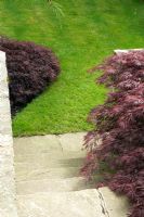 Stone steps with Acers at Cypress House in Dalton