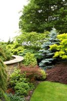 Border with Conifers and shrubs at Cypress House in Dalton
