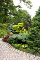 Border with Conifers in garden at Cypress House in Dalton
