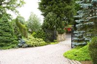 Border with Conifers in front garden at Cypress House in Dalton