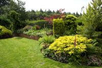 Suburban garden with conifer border and low retaining walls at Cypress House in Dalton