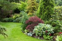 Summer border with conifers and foliage plants at Cypress House in Dalton