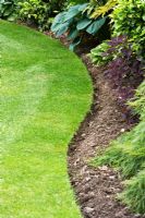 Lawn with curved s shaped edge at Cypress House in Dalton