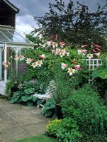 Patio area at back of house outside conservatory door with white bench seat, edged by border of Hostas and Linaria. Tall white Lilium regale in container - Chelmsford, Essex