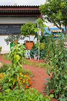 The CAMFED Garden: Giving Girls In Africa a Space to Grow. Designed by Jilayne Rickards, Sponsored by The Campaign for Female Education, RHS Chelsea Flower Show, 2019