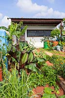 The CAMFED Garden: Giving Girls In Africa a Space to Grow. Designed by Jilayne Rickards, Sponsored by The Campaign for Female Education, RHS Chelsea Flower Show, 2019