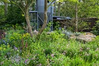 The Resilience Garden, designed by Sarah Eberle, sponsored by Gravetye Manor Hotel and Restaurant, Kingscote Estate, Forestry Commission, Department for Environment, Food and Rural Affairs, Royal Botanic Gardens, Kew, Scottish Forestry, Scottish Government, Welsh Government, RHS Chelsea Flower Show, 2019.