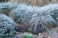 Bronze swans sculptures amongst grasses on a frosty morning.  