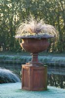 Terracotta urn on plinth with Carex comans 'Bronze form'