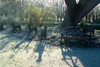 Sunlight casting shadows on a frosty morning in winter. Woven hazel deer sculptures and wooden bench