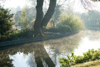 Looking across to John Massey's garden from the bank of the Staffordshire and Worcester canal on a frosty morning in winter