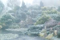 Frozen pond and rock garden planted with conifers in John Massey's garden on a frosty winter's morning. 
