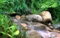 Small garden stream flowing over rocks and pebbles through lush, green foliage plants.
