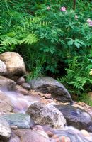 Small garden stream flowing over rocks and pebbles with Ferns and Geranium