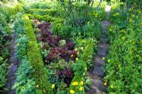 The potager, well known formal vegetable garden at Barnsley House Gardens, Glos - Former garden of Rosemary Verey 