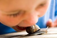Boy pretending to eat live snail