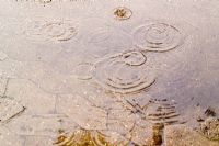Water ripples from raindrops in puddle