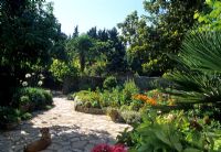 Crazy paving path between raised borders of Palms, Hydrangeas, Agapanthus, Zinnias and Tagetes with dog lying on path - Corfu