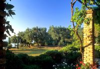 Mediterranean garden - Corfu
