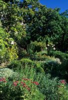 Mediterranean garden - Corfu