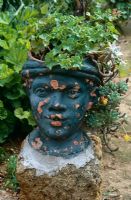 Container in shape of face planted with ivy-leaved pelargonium and succulents including Graptopetalum and Echeveria, Sicily