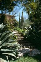 Mediterranean garden planted with cacti and succulents including Agave americana - Il Biviere, Sicily  