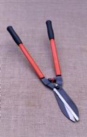 Long handled shears - ideal for topiary trimming