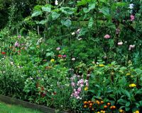 Vegetable garden with Zinnias and Marigolds