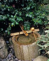 Japanese water bowl