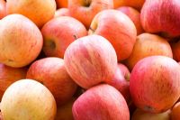Organic Apples in basket 
