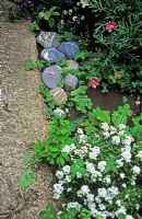 Striped beach pebbles lined up along path in front garden with Oxalis and Ayssum 