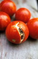 Lycopersicon esculentum - Tomato 'Tigerella' splitting due to inconsistent watering