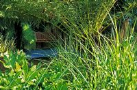 'The Urban Jungle' Garden at Hampton Court Flower Show 2006 with Dicksonia antarctica and Fatsia japonica with view to bench on grating 
